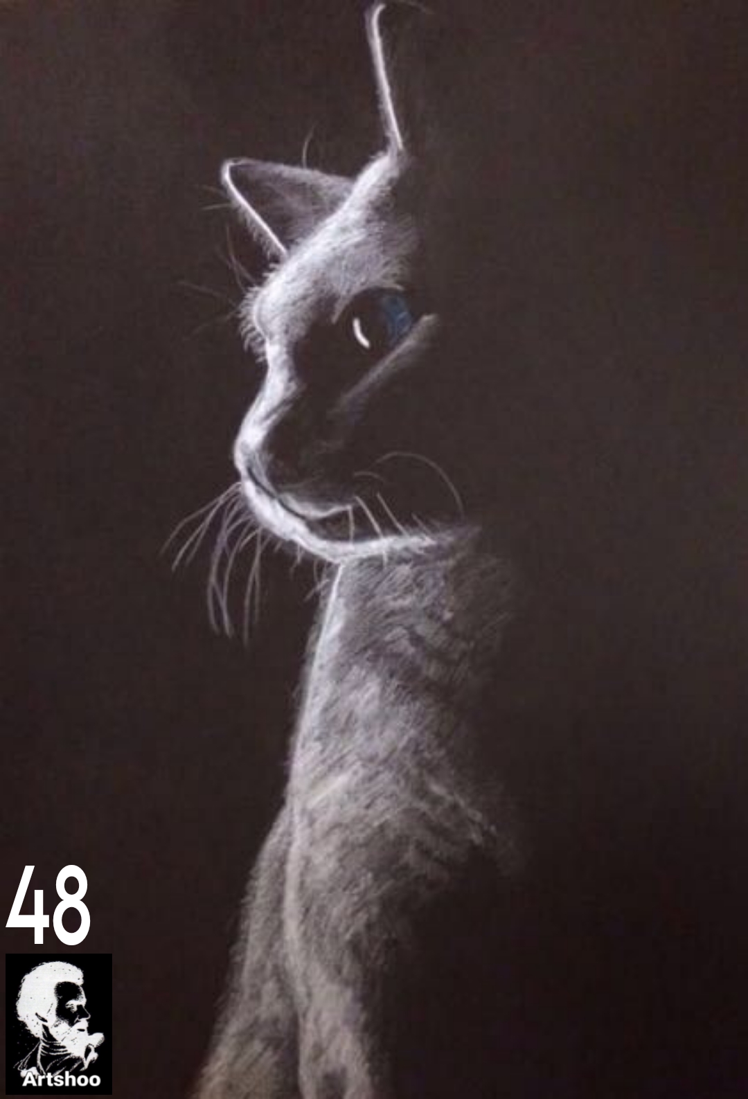 آموزش نقاشی طراحی سیاه قلم شهرری